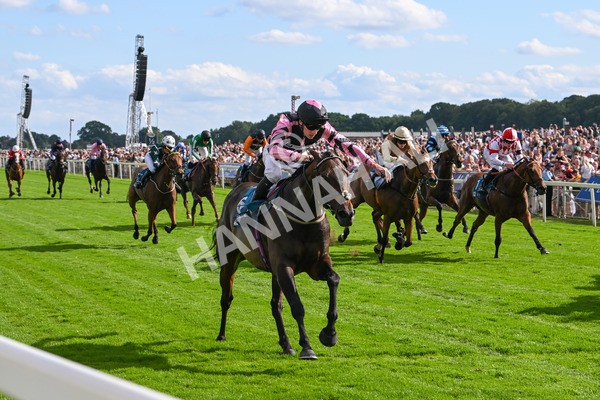 280625-Race 7-Titian-1304 - Race 7 5.25pm Al Basti Equiworld Dubai Amateur Jockeys' Handicap