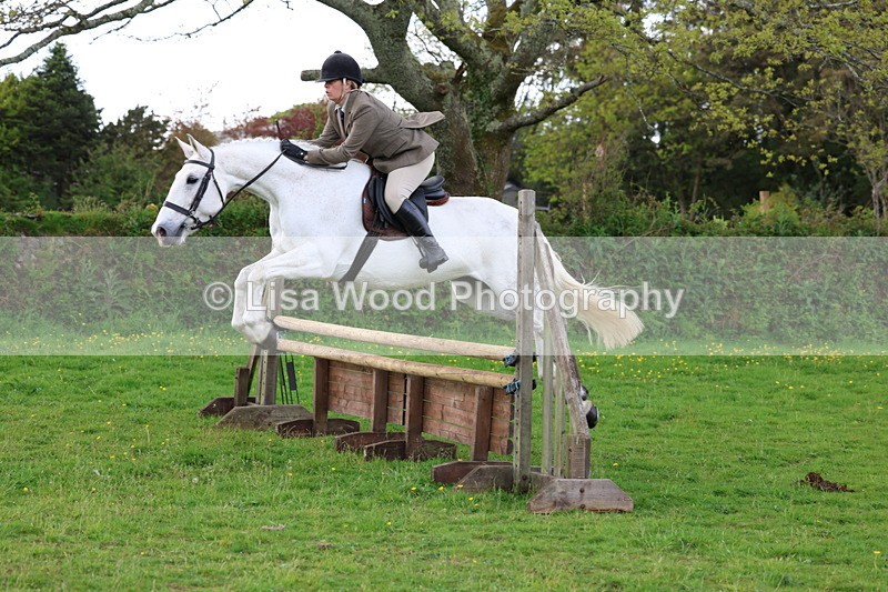 3E7A2562 - Classes 30 and 31: 80cm Working Hunter