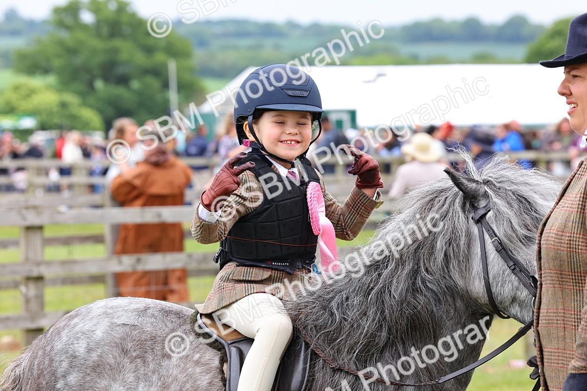 SBM_08392 - Class 42-43 - LIHS BSPS Heritage Working Sports Pony