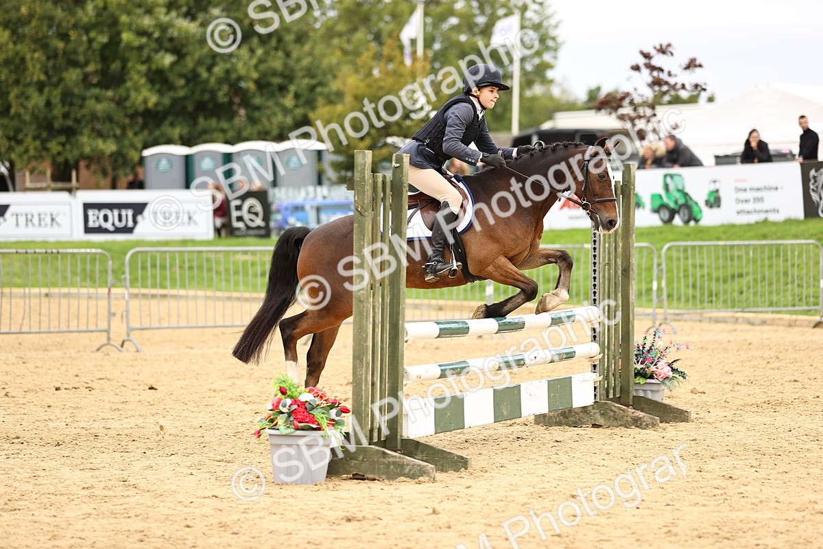 SBM_66521 - J17 - Junior Pony 80cm Championship