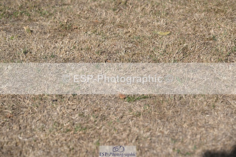 250821A-163827-17979 - All Presentations