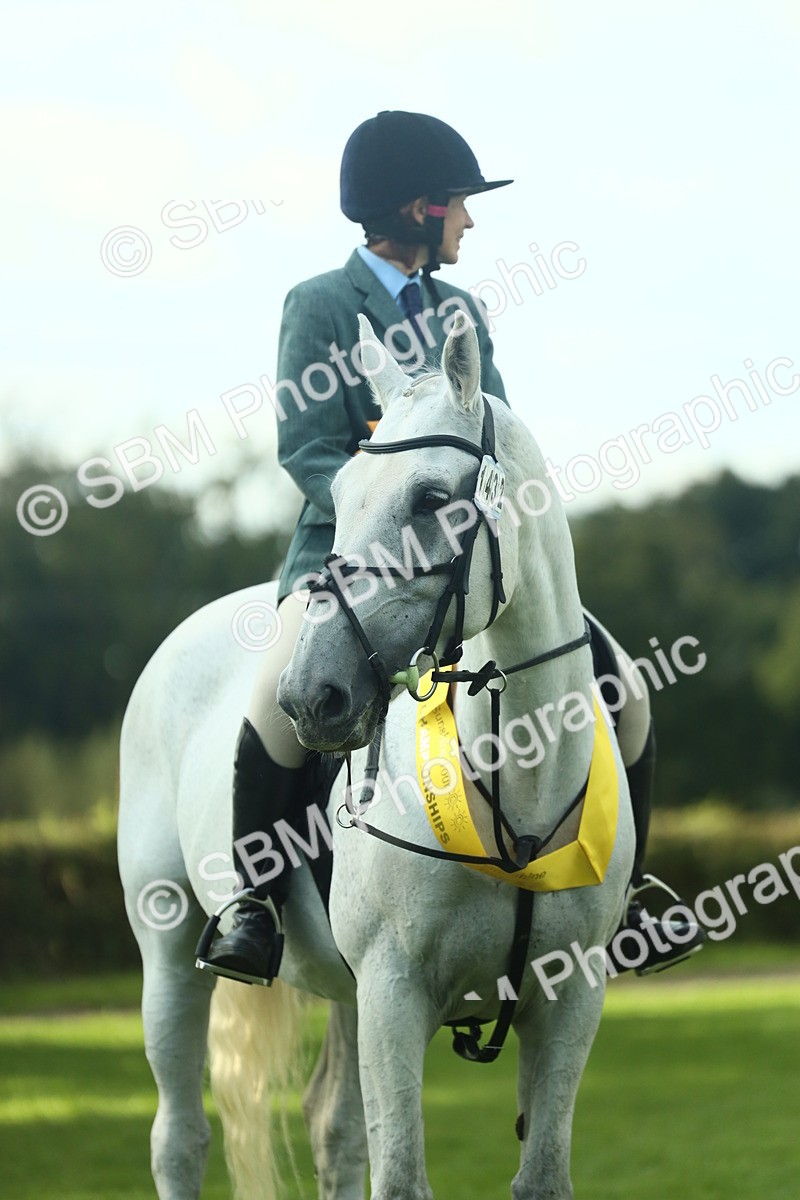 SBM_52224 - S33 - Working Hunter & Working Show Horse