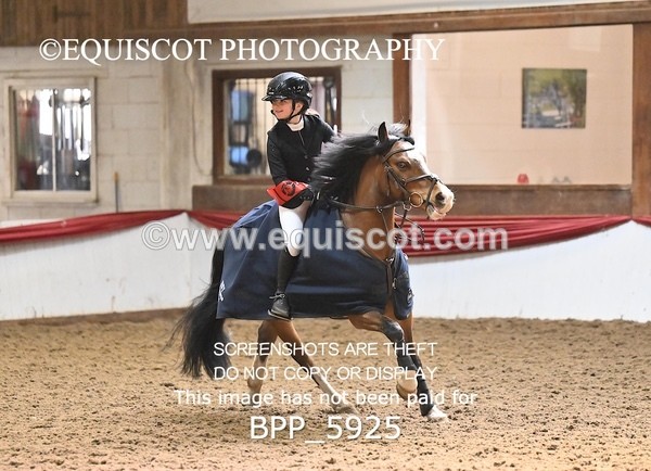 BPP_5925 - CLASS 5 PONY 50CM FINAL