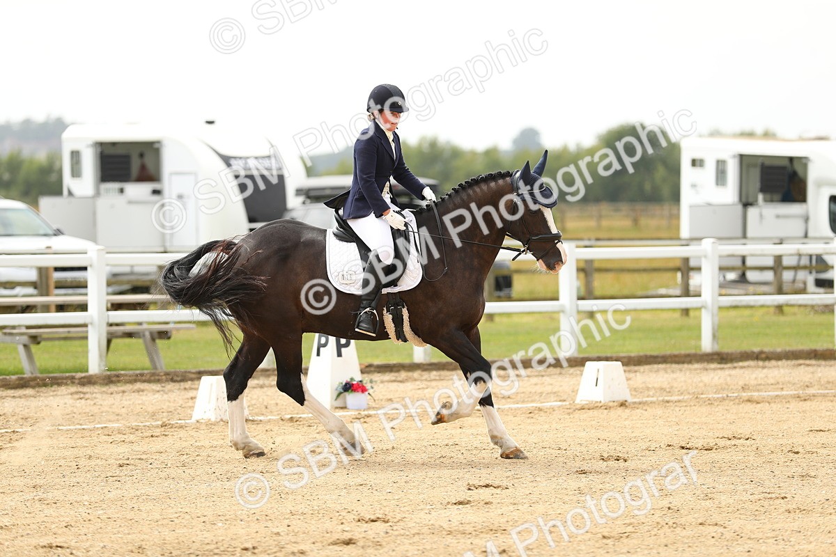 SBM_017251 - Class 13 - Novice 23 - 13.31-14.13