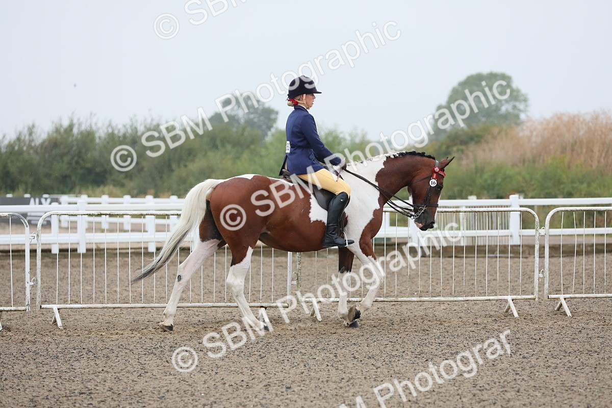SBM_19837 - Class 801 - Ridden Veteran