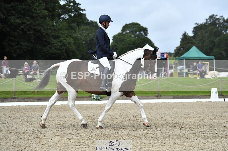 230812-123314-04147 - Cls 6 Novice Silver 12.10 to End