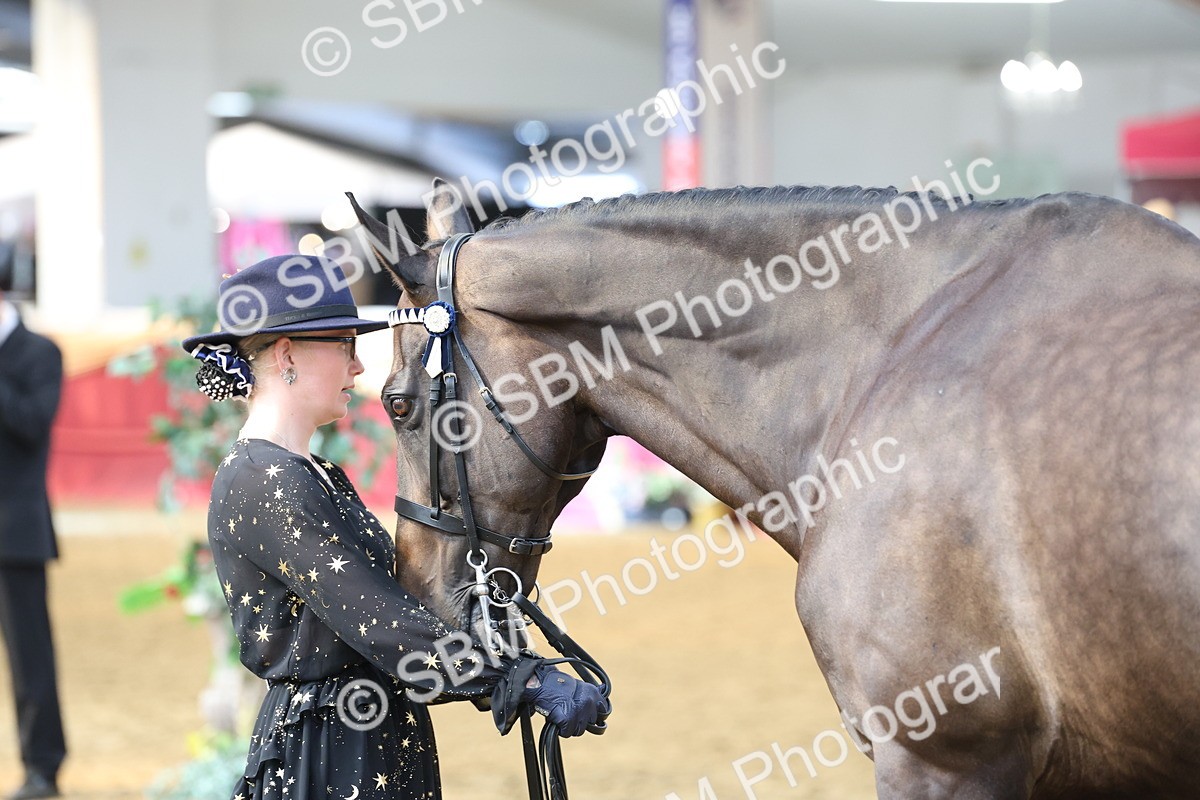 SBM_23358 - Class 903 - Supreme Final - IH Pre Vet