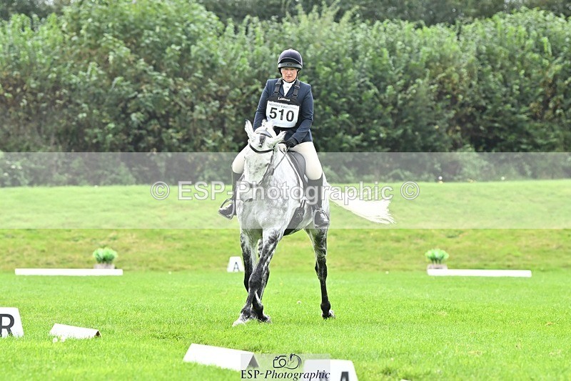 241024-115025-02502 - 510-Kathryn.Virjee-BROWNSTOWNS.SEAWATCH