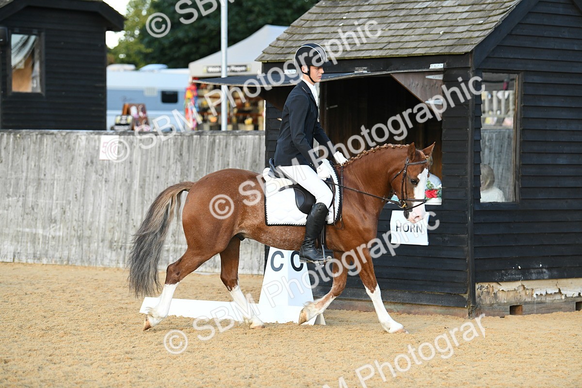 SBM_30966 - D16 - Small Tour Championship - Novice 28