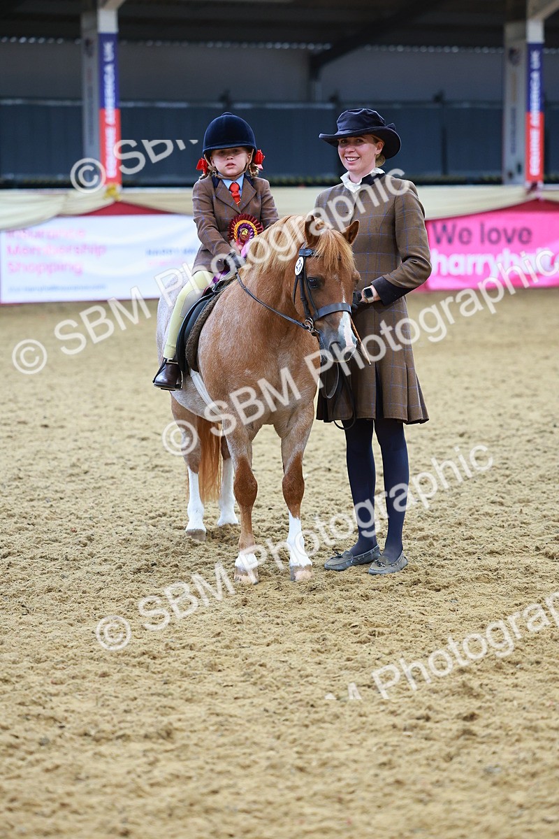 SBM_09873 - Class 102 - HOYS Veteran Qualifier - Ridden Veteran