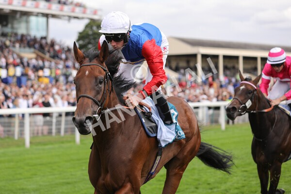 yr19082022r5-28 - Race 5 4.10pm Assured Data Protection EBF Fillies' Stakes