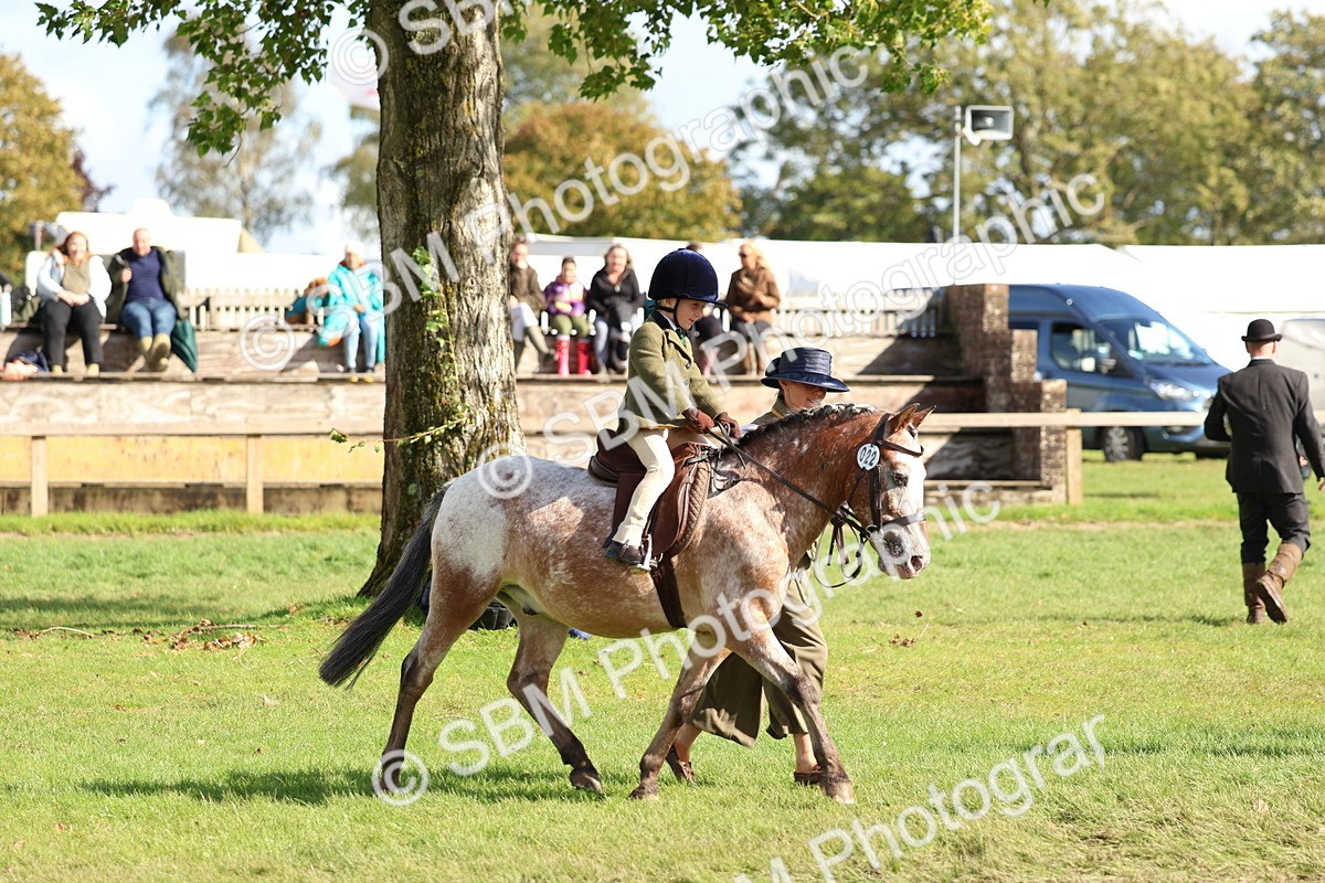 SBM_47740 - S28 - Veteran Ridden