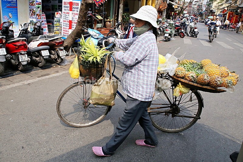 VIET_1233 - Vietnam 2017