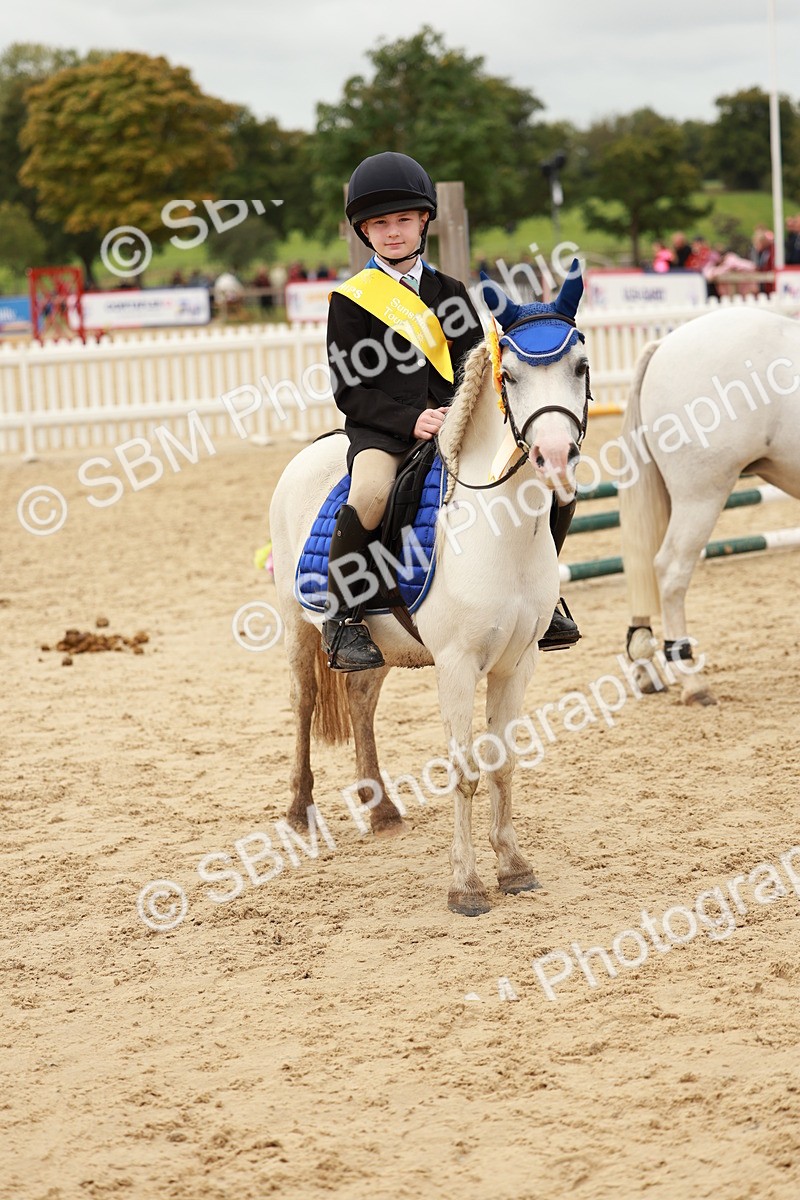 SBM_58079 - J11 - Junior Pony 50cm Championship