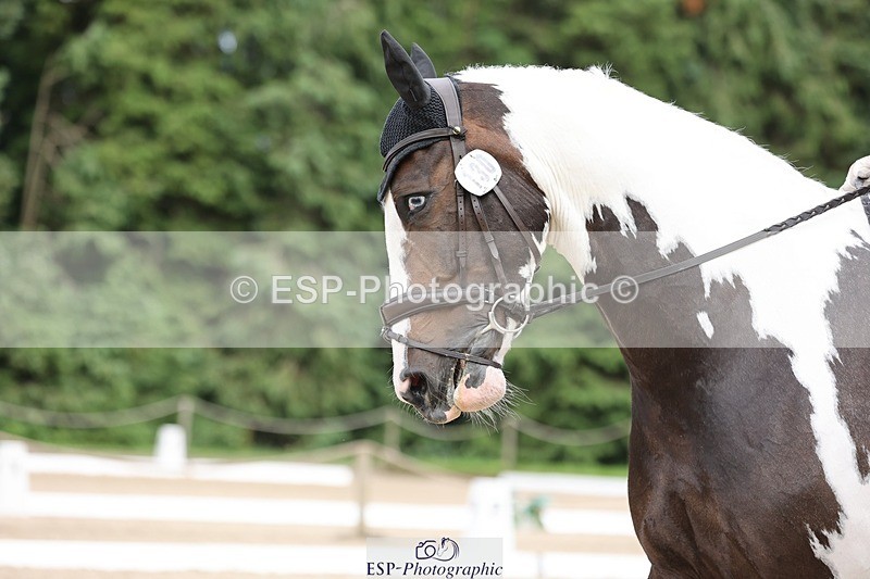 240721-165053-10476 - 130-Liz_Rivett-A_Blue_Eyed_Boy