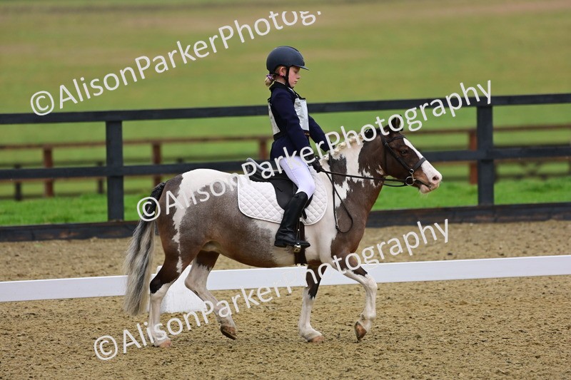 20260125-0636 - Class 9b - Walk Trot Unassisted