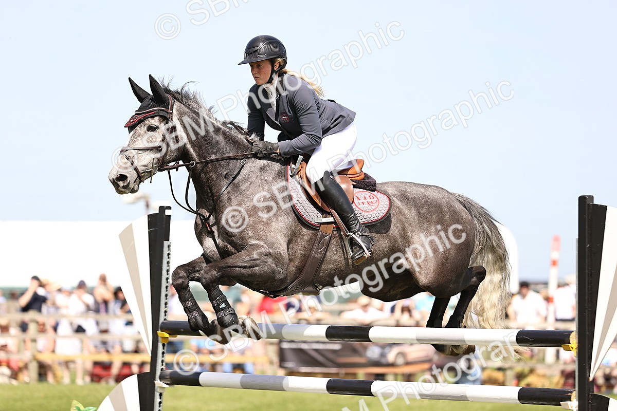 SBM_03235 - Class 201 - British Horse Feedds Speedi Beet HOYS Grade C