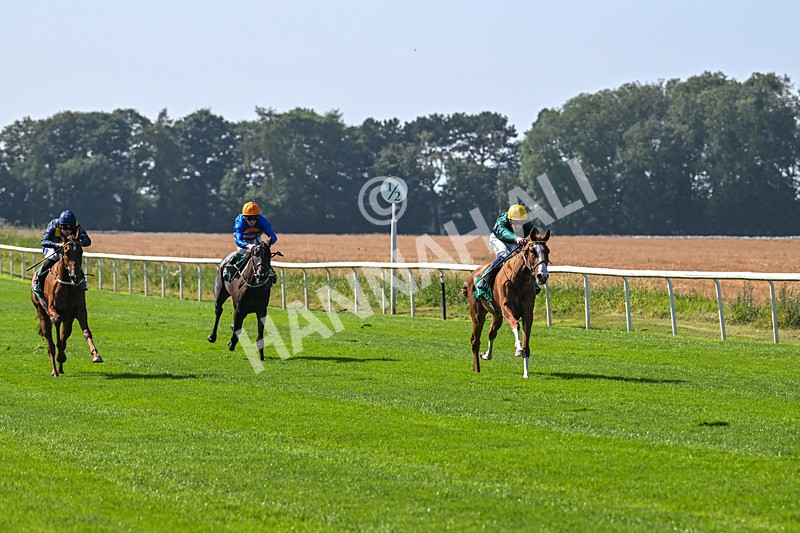 300824-Race 2-Consent-5692 - Race 2