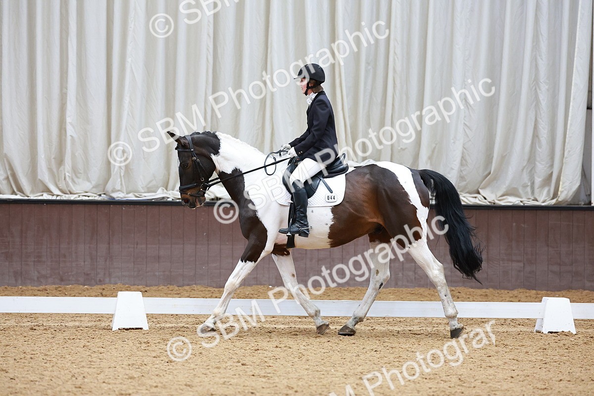 SBM_002972 - Class 14 - Novice 2