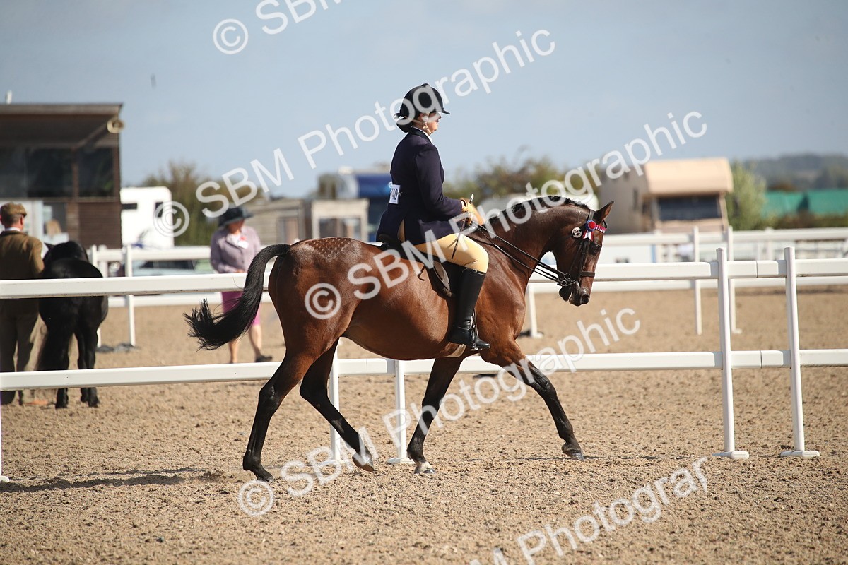 SBM_22822 - Class 602 - 2026 Area - Ridden Veteran