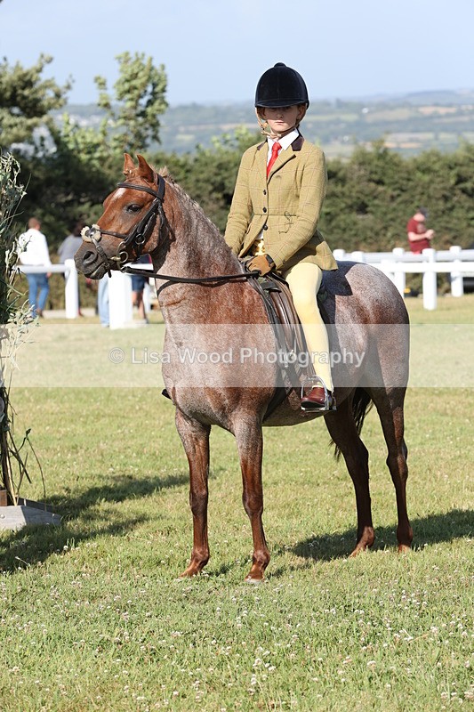 JPP_3033 - Class 20: Working Hunter 70cm