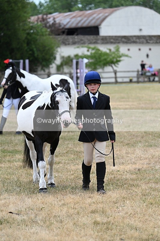 WJ7_1416 - Class 4 Prettiest Mare up to 14.2hh in hand