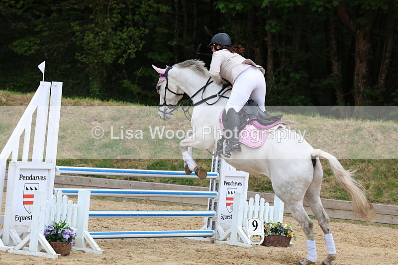 3E7A6294 - Class 4: Senior British Novice/90cm open