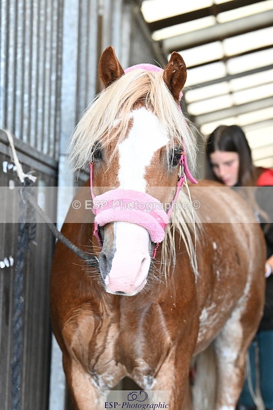 250821B-151340-00663 - Group C - Laraine