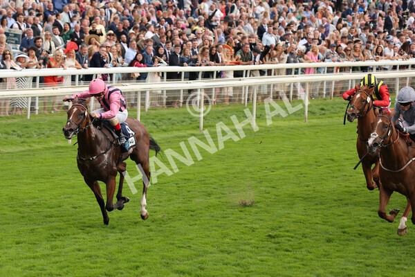 yr19082021r7-14 - Race 7 5.20pm British Stallion Studs EBF Fillies' Stakes