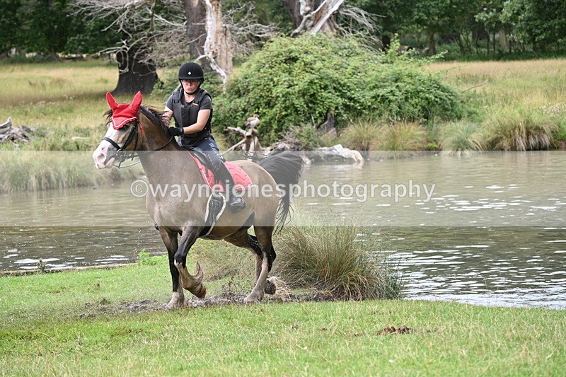 WJ7_2288 - Time at Water 11:14 to 11:36