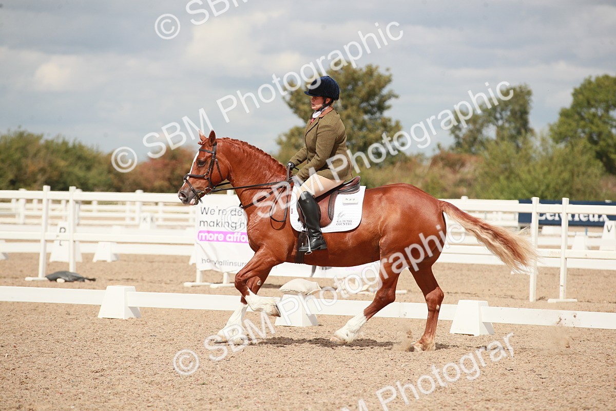 SBM_05864 - Class 32 - Novice 1