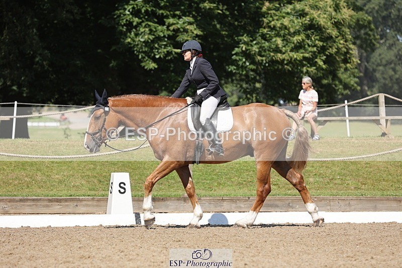 240719-104108-00770 - 223-Deborah_Randall-Sandy's_Bertie