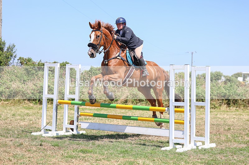 3E7A4416 - Class 10: Senior British Novice/90cm open