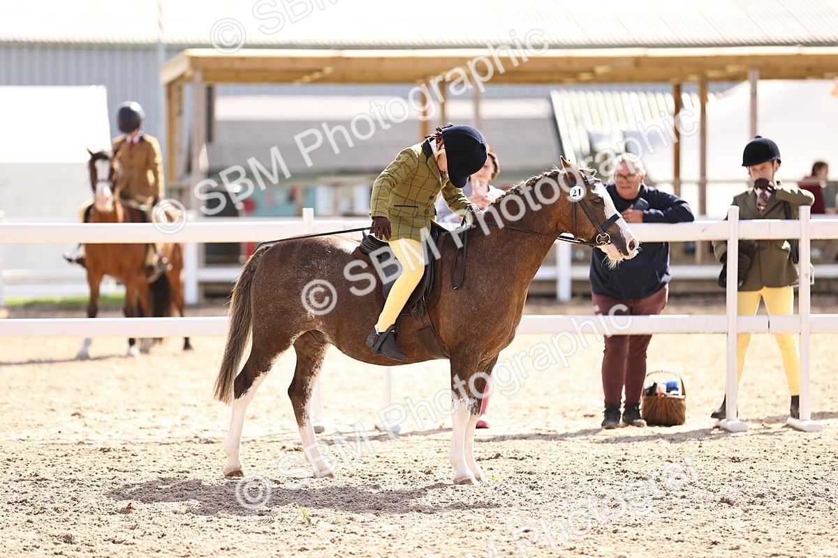SBM_11622 - Class 408 - Grassroots Ridden - Walk & Trot