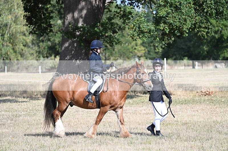 WJ7_2655 - Class 8 Ridden Tack & Turnout