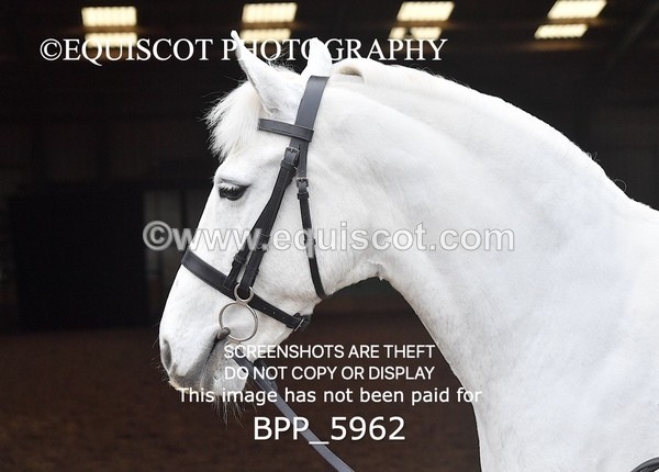 BPP_5962 - Erin Hancock ×2