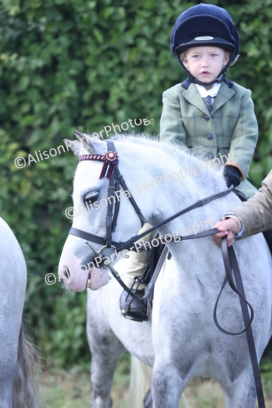 20250831-2706 - Class 17 - Lead Rein Pony