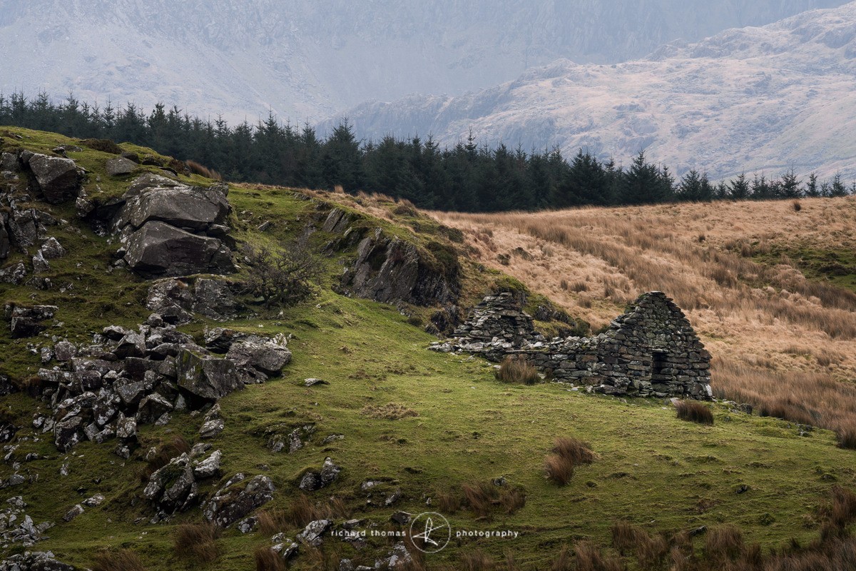Forwyn barn - Built
