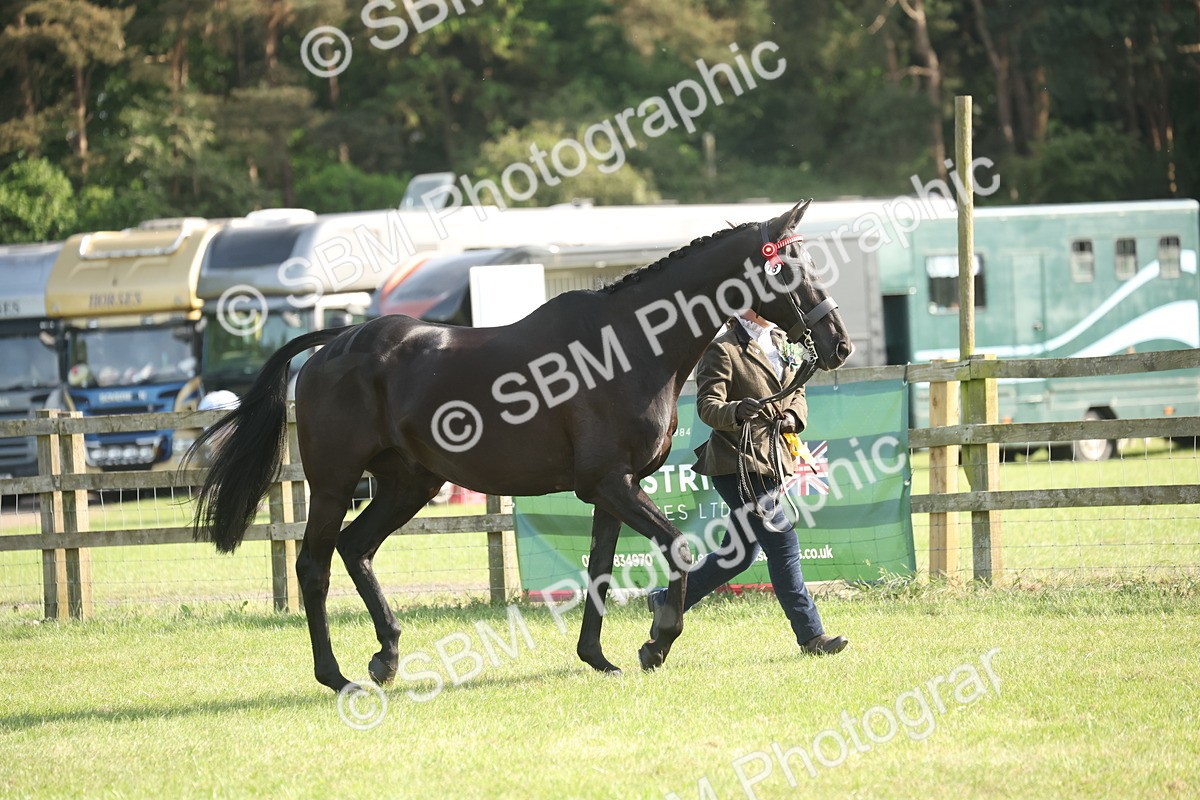 SBM_10404 - Class 33-38 - SSADL RIHS Qualifiers
