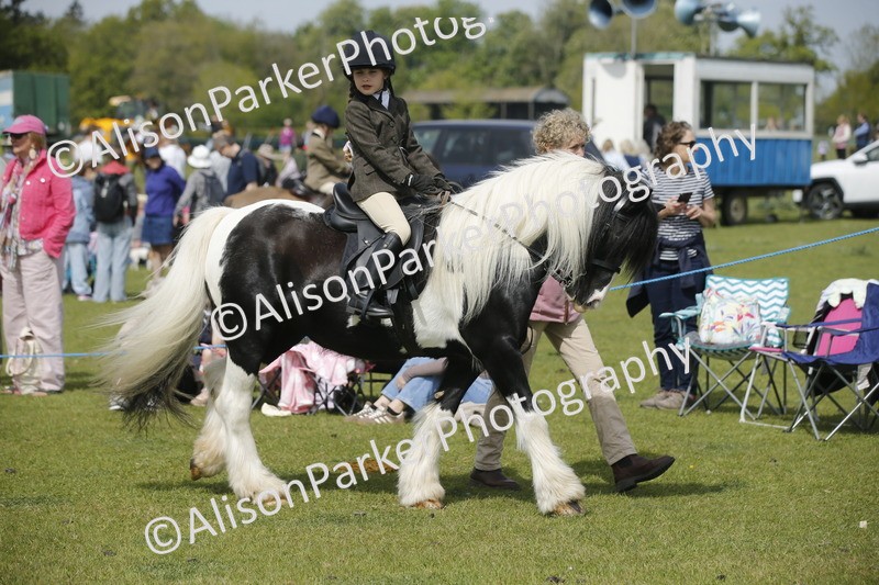 20260426-1839 - Class 7 - Pony Judge Would Most Like To Take Home