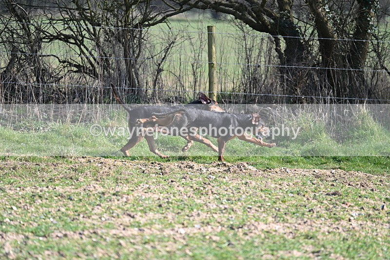 WJ7_5705 - Camera A