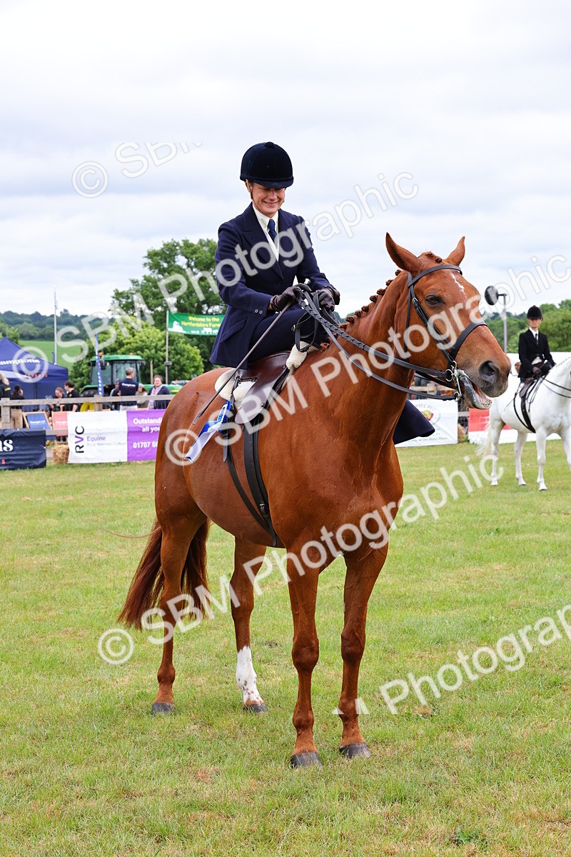 SBM_02893 - Class 9-11 Side Saddle including LIHS Rising Star Ladies Show Horse