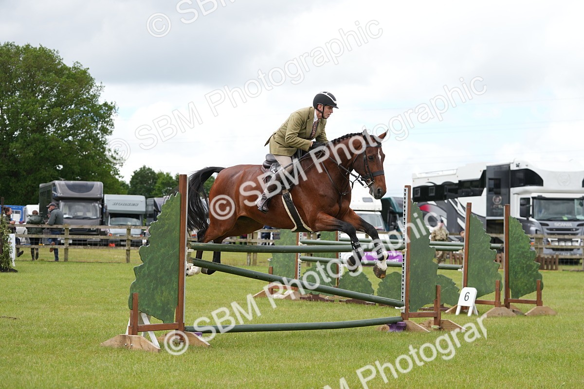 SBM_14934 - Class 100-102 - RIHS Working Hunter