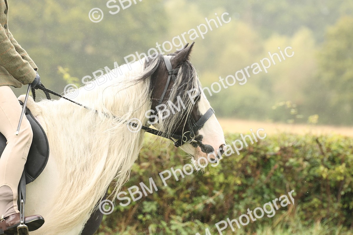 SBM_72678 - S70 - Traditional Cob Ridden