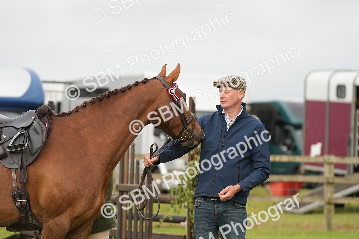 SBM_10636 - Class 97-98 - LIHS BSHA Rising Star Working Show Horse Hunter