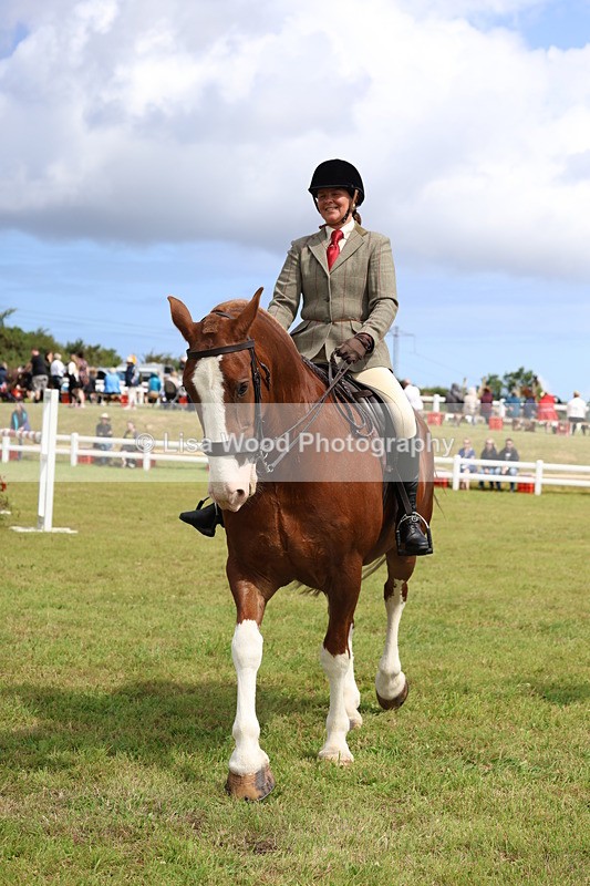 3E7A0278 - Class 6: Rising Star Maxi Cobs