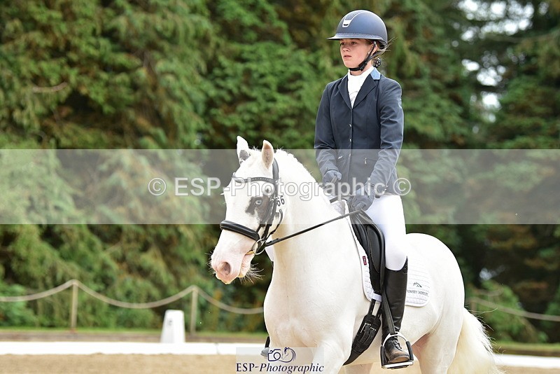 250719A-143628-06297 - 166-Ruby.Vincent-Silver.lining