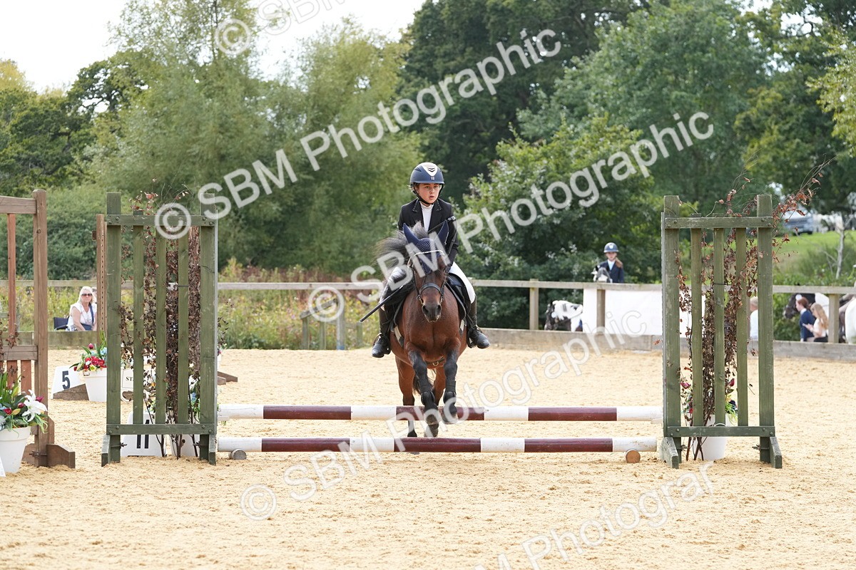 SBM_70594 - J3 - Mini Tour Junior Pony 40cm Championship