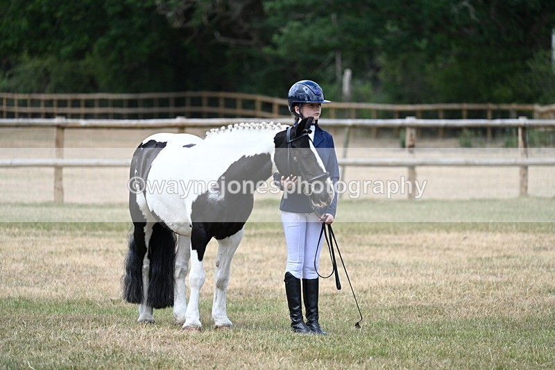WJ7_1514 - Class 4 Prettiest Mare up to 14.2hh in hand