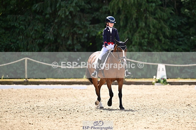 260802A-122546-06213 - Novice Silver break- end
